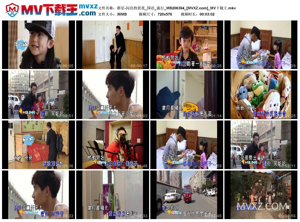 群星-闪亮的爸爸_国语_流行_MB206394